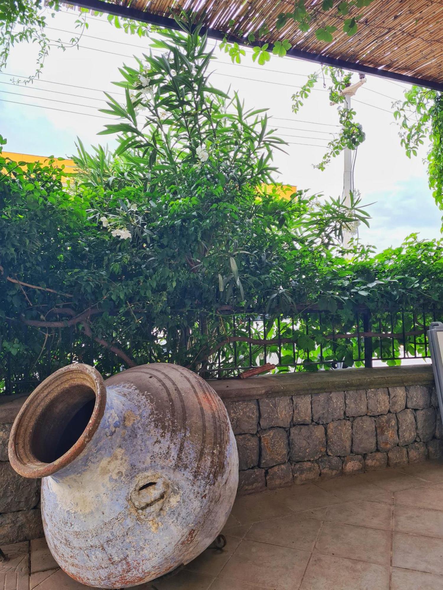 弗拉奥特尔酒店式公寓 Çeşme 外观 照片